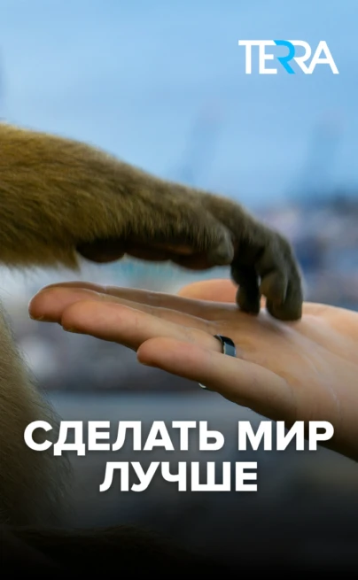 Сделать мир лучше