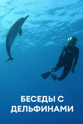 Беседы с дельфинами