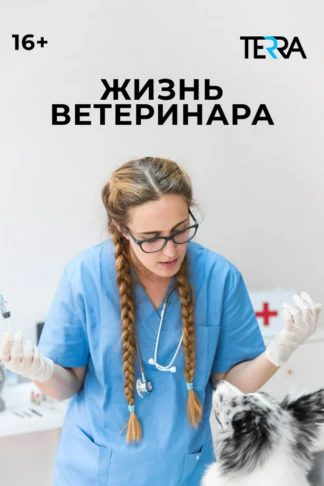 Жизнь ветеринара