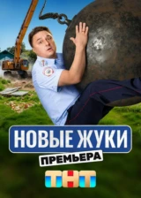 Жуки