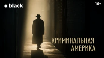 Криминальная Америка