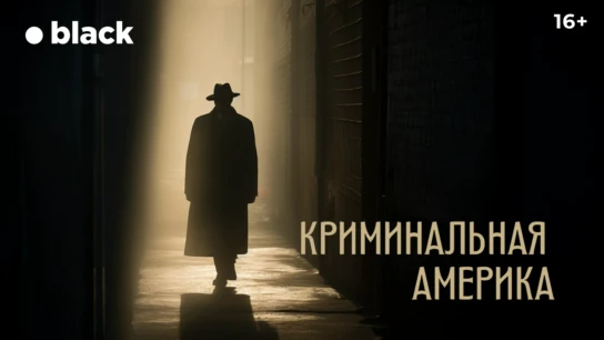 Криминальная Америка