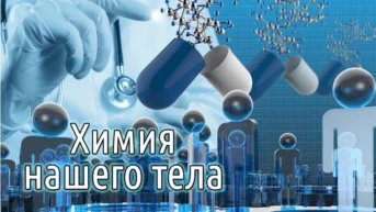 Химия нашего тела