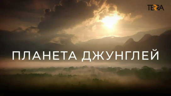 Планета джунглей