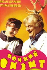 Ночной визит