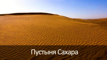 Пустыня Сахара