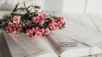 Пустыня