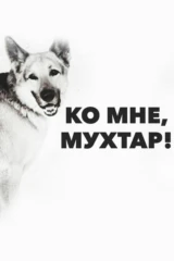 Ко мне, Мухтар!