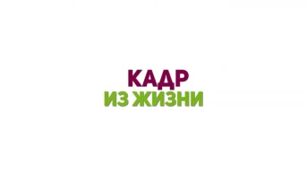 Кадр из жизни