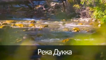 Река Дукка