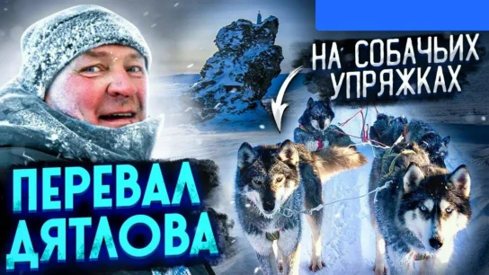 Перевал Дятлова. Экспедиция на собачьих упряжках