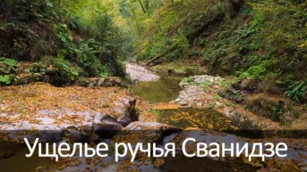 Ущелье ручья Сванидзе