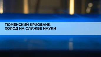Тюменский криобанк. Холод на службе науки