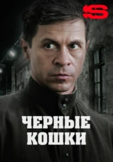 Чёрные кошки
