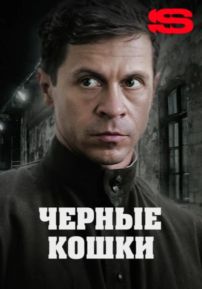 Чёрные кошки