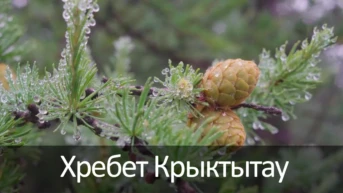 Хребет Крыктытау