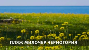 Пляж Милочер Черногория