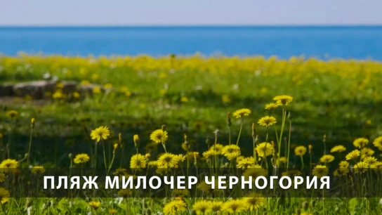 Пляж Милочер Черногория