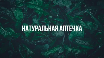 Натуральная аптечка