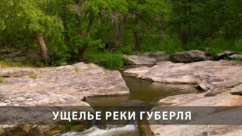 Ущелье реки Губерля