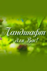 Ландшафт для вас