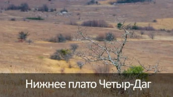 Нижнее плато Четыр-Даг