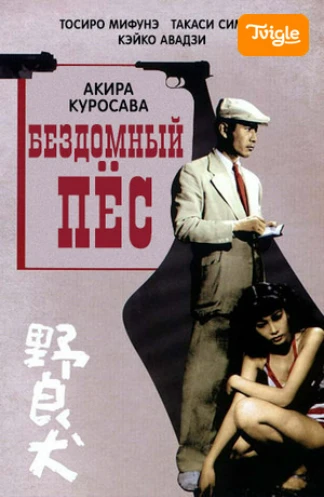 Бездомный пес