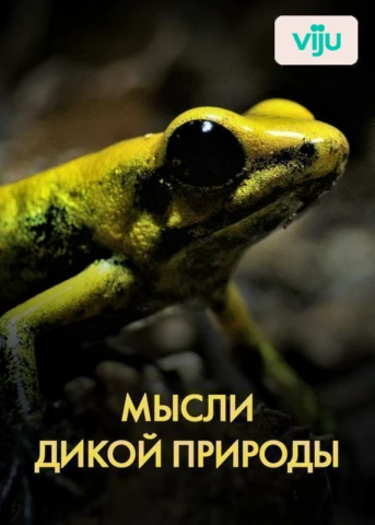 1 серия