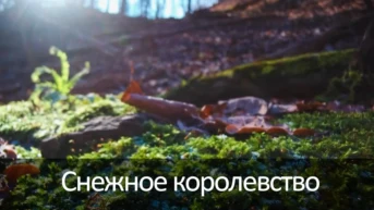 Снежное королевство