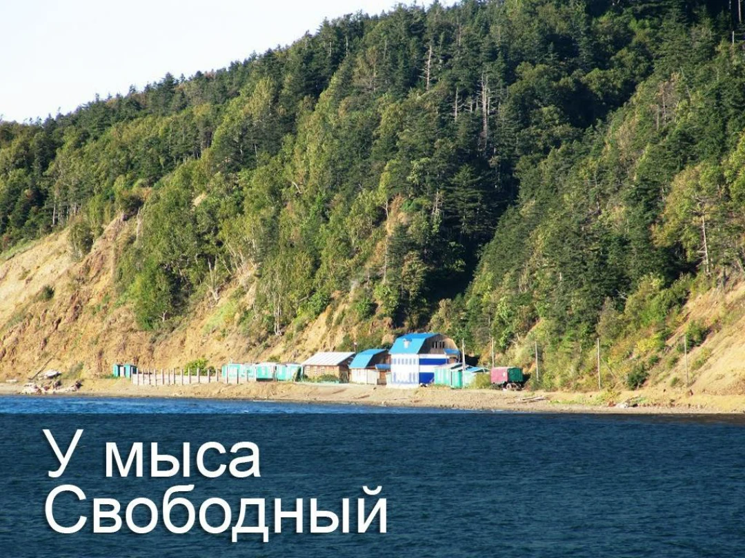 Передача У мыса Свободный