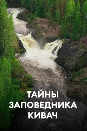 Тайны заповедника Кивач