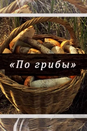 По грибы