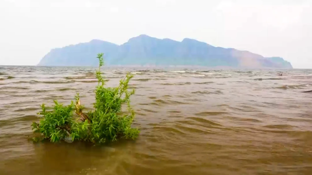 Передача Красноярское водохранилище