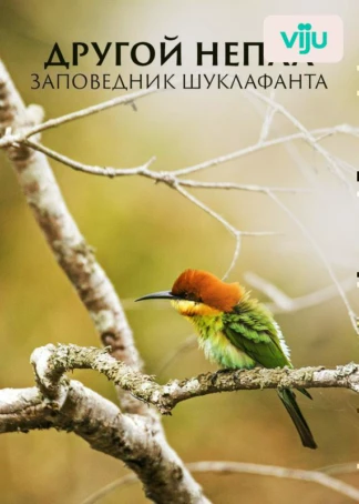 Национальный парк Суклафанта. Дикий мир Непала