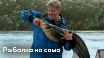 Рыбалка на сома
