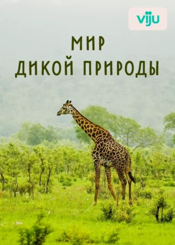 Самые сильные