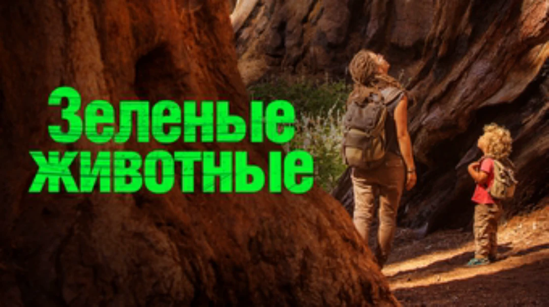 Сериал Зеленые Животные