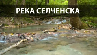 Река Селченска
