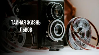 Тайная жизнь львов