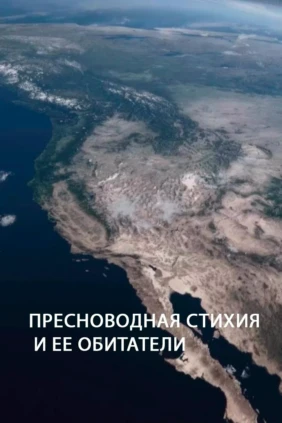 Пресноводная стихия и ее обитатели