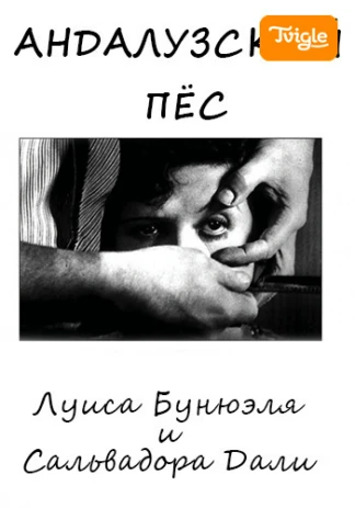 Андалузский пес