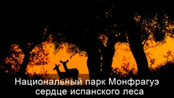 Испания