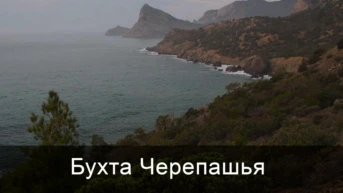 Бухта Черепашья