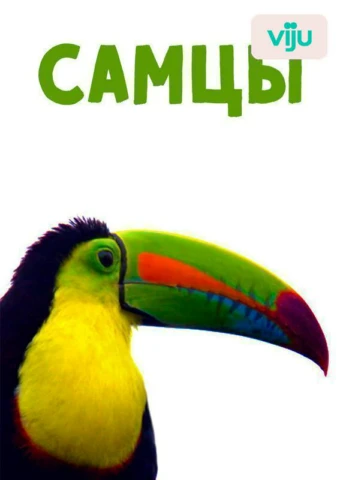 1 серия