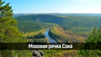Моховая речка Соха