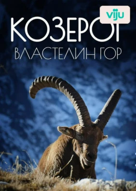 Козерог – властелин гор