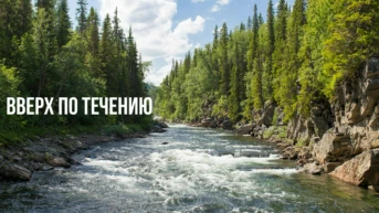 Вверх по течению