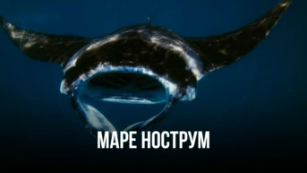 Маре Нострум