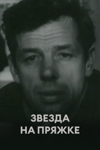 Звезда на пряжке