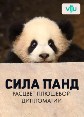 Сила панд: расцвет плюшевой дипломатии
